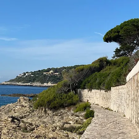 La Petite Ancre *